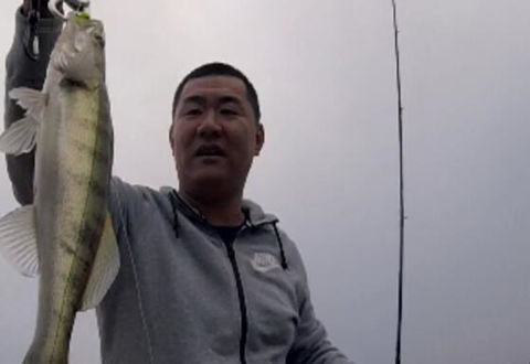 大海路亚讲堂73 解锁威海梭鲈鱼 [视频]