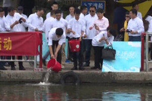 《职场渔乐圈》第1053期 鱼不停游公益活动 [视频]