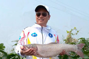 龙行天下大师行之鸡笼湖再战大草鱼 [视频]