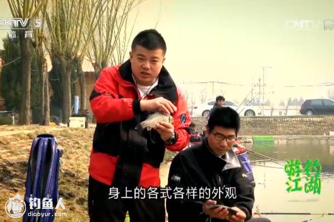 cctv5游钓江湖：春钓黑坑爆连鲫鱼 [视频]