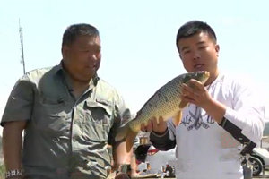 cctv5游钓江湖：春钓黑坑之智擒大鲤鱼 [视频]