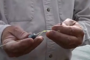 男子野外用火腿肠钓鲶鱼 教你怎么穿钩 [视频]